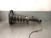 Stoßdämpfer hinten