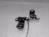 Tailgate/trunk/boot hinge