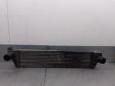 Intercooler radiator