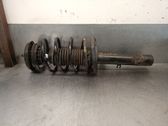 Amortiguador delantero con muelle espiral