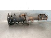 Front shock absorber with coil spring