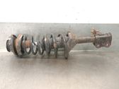 Front shock absorber with coil spring