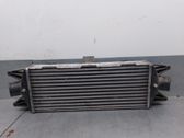 Radiador intercooler