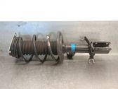 Amortiguador delantero con muelle espiral