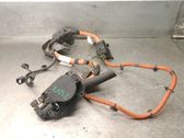 Faisceau de câblage pour moteur