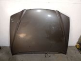 Motorhaube