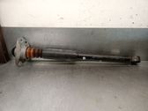 Stoßdämpfer hinten