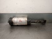 Front shock absorber with coil spring