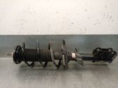 Amortiguador delantero con muelle espiral
