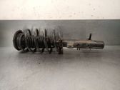 Amortiguador delantero con muelle espiral
