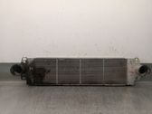 Radiador intercooler