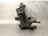 Throttle body valve