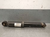 Rear shock absorber/damper