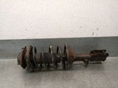 Amortiguador delantero con muelle espiral
