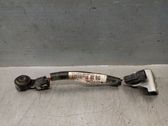 Faisceau de câblage pour moteur