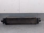 Radiador intercooler