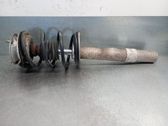 Front shock absorber with coil spring