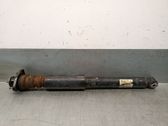 Rear shock absorber/damper