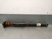 Rear shock absorber/damper