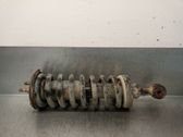 Front shock absorber with coil spring