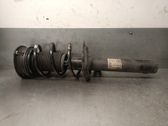 Front shock absorber with coil spring