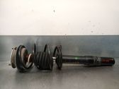 Amortiguador delantero con muelle espiral
