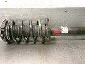 Amortiguador delantero con muelle espiral