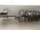 Front shock absorber with coil spring