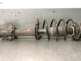 Amortiguador delantero con muelle espiral