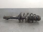 Amortiguador delantero con muelle espiral