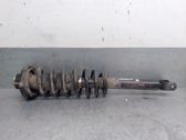 Rear shock absorber/damper