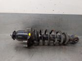 Rear shock absorber/damper