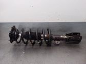 Front shock absorber with coil spring
