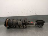 Front shock absorber with coil spring
