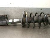 Front shock absorber with coil spring