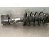 Front shock absorber with coil spring
