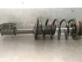 Amortiguador delantero con muelle espiral