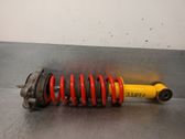 Rear shock absorber/damper