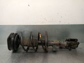 Amortiguador delantero con muelle espiral