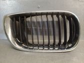 Kühlergrill