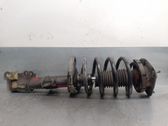 Amortiguador delantero con muelle espiral