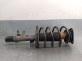 Amortiguador delantero con muelle espiral