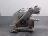 Rear wheel hub spindle/knuckle