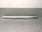 Dashboard trim