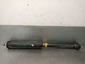 Rear shock absorber/damper