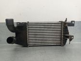 Intercooler radiator