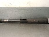 Stoßdämpfer hinten