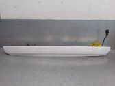 Rear door exterior handle