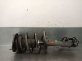 Front shock absorber with coil spring