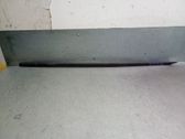 Dashboard trim